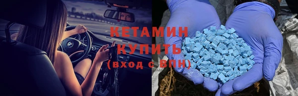 хмурый Гусь-Хрустальный